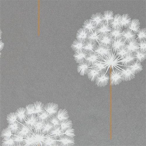 Amity 111888