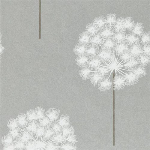 Amity 111889