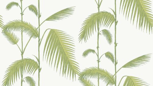 Palm 95/1009
