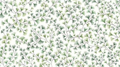 Maidenhair 115-6018