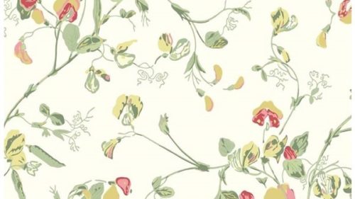Sweet Pea 100-6027