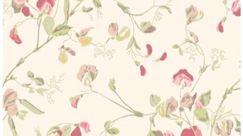 Sweet Pea 100-6028