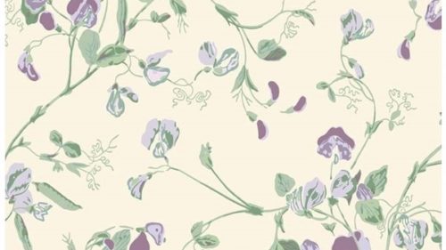 Sweet Pea 100-6030