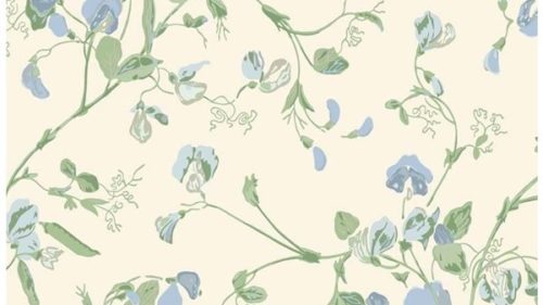 Sweet Pea 100-6031