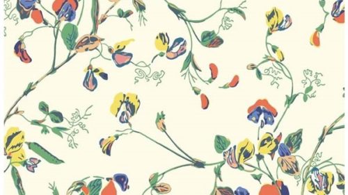 Sweet Pea 115-11032