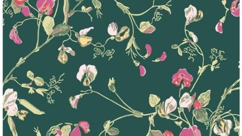 Sweet Pea 115-11033