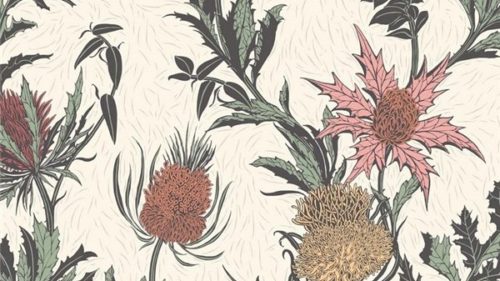 Thistle 115-14043