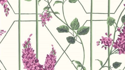 Wisteria 115-5013