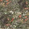 Woodland 115-4011