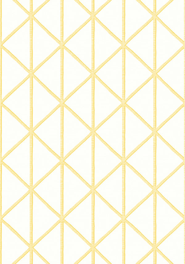 Papel Pintado Thibaut BOX KITE T10136