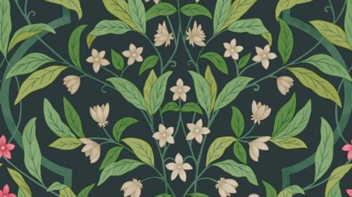 Jasmine & Serin Symphony 117-10028