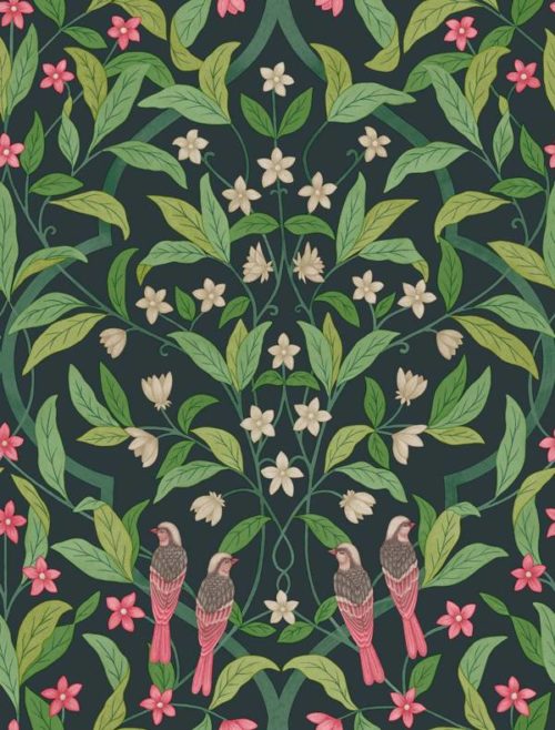 Jasmine & Serin Symphony 117-10028