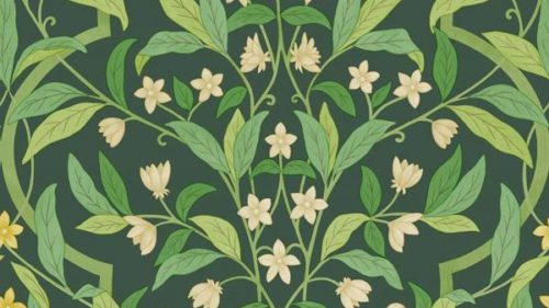 Jasmine & Serin Symphony 117-10029
