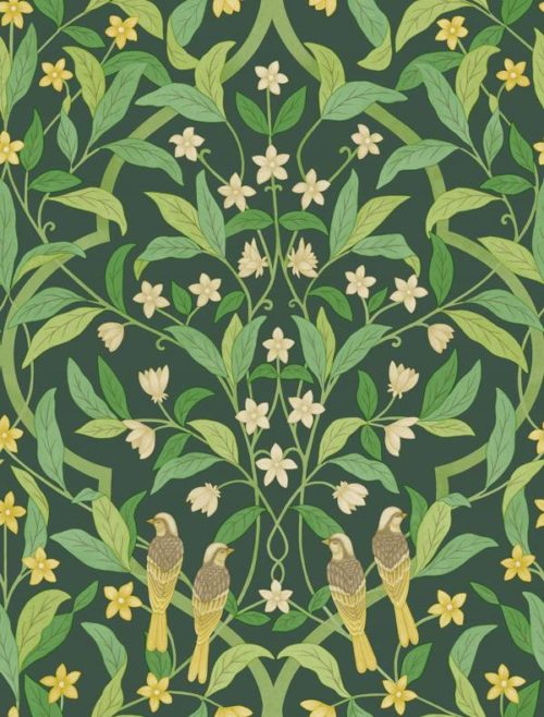 Jasmine & Serin Symphony 117-10029
