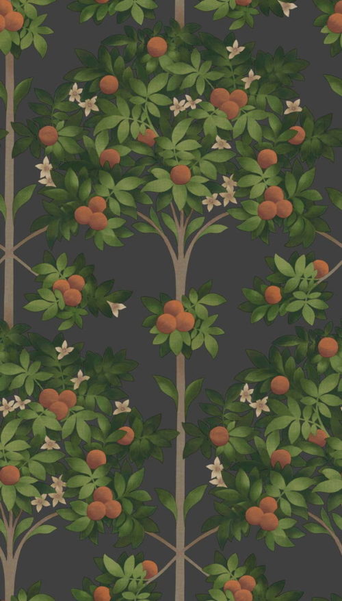 Orange Blossom 117-1003