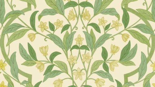 Jasmine & Serin Symphony 117-10031