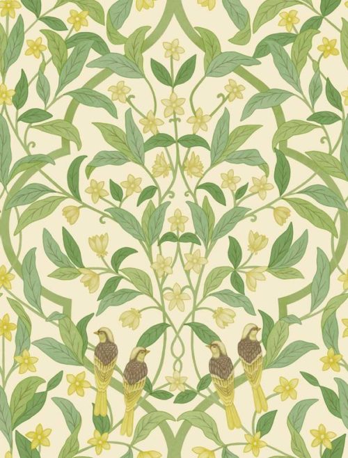 Jasmine & Serin Symphony 117-10031
