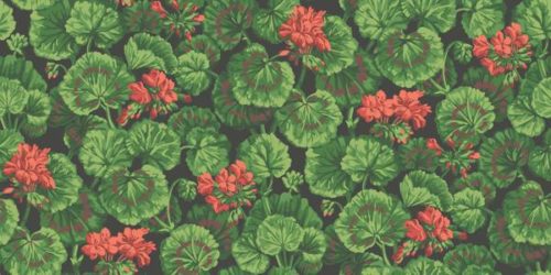 Geranium 117-11033