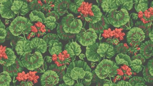 Geranium 117-11033