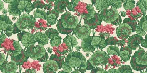 Geranium 117-11034