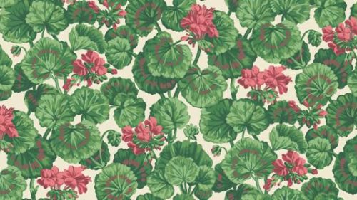 Geranium 117-11034