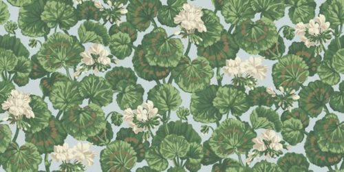 Geranium 117-11035