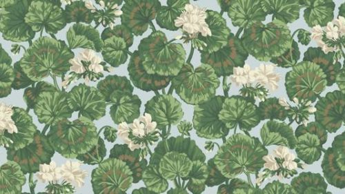 Geranium 117-11035