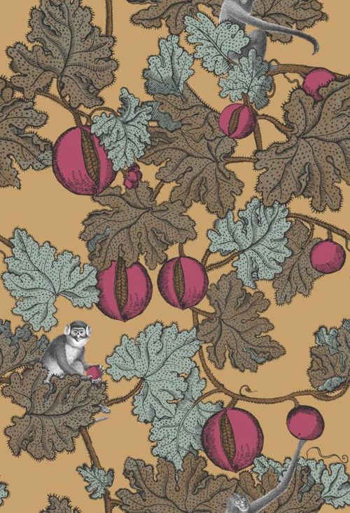 Frutto Proibito   114 -25049