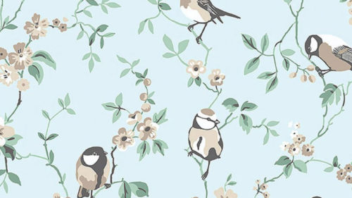 Falsterbo Birds 7681