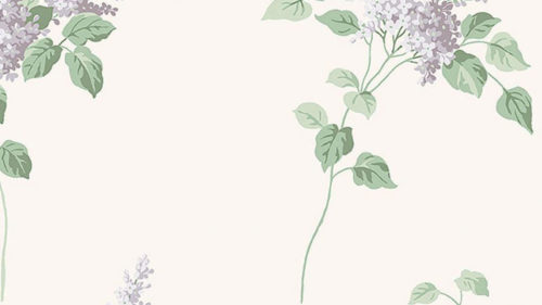 Lilacs 7668