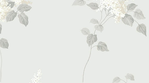 Lilacs 7669