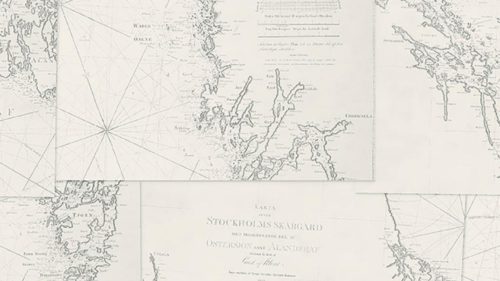 Coastline 8868