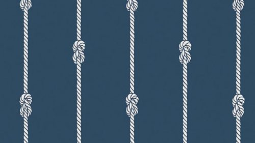 Knot stripe 8858