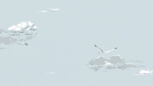 Seagulls 8856