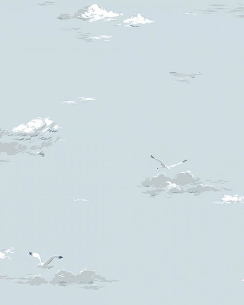 Seagulls 8856