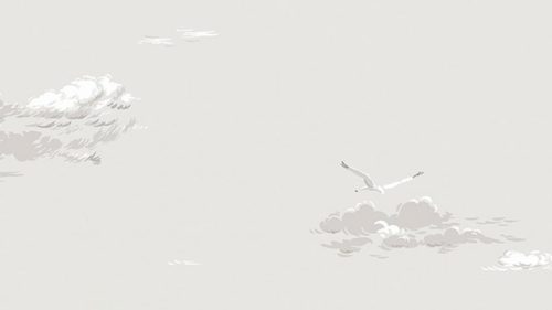 Seagulls 8857