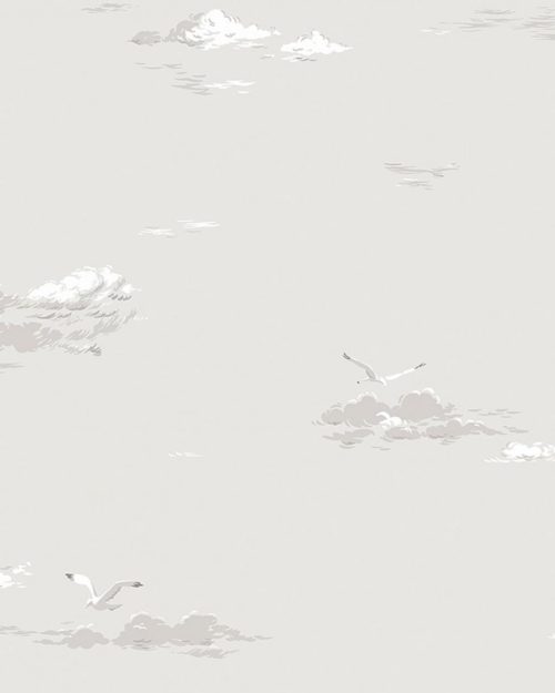 Seagulls 8857