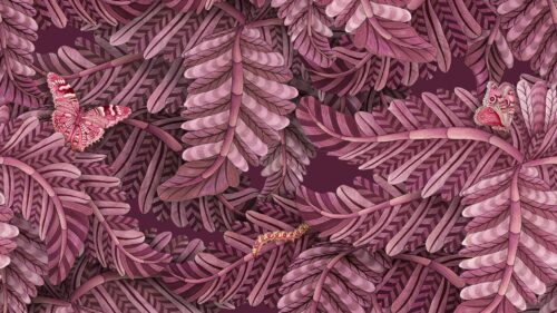 Acacia Canopy 129/4016