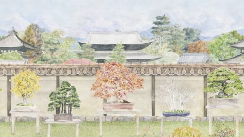 Bonsai Garden 126/1001