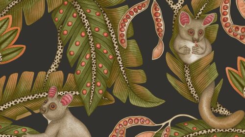 Bush Baby 119/7031