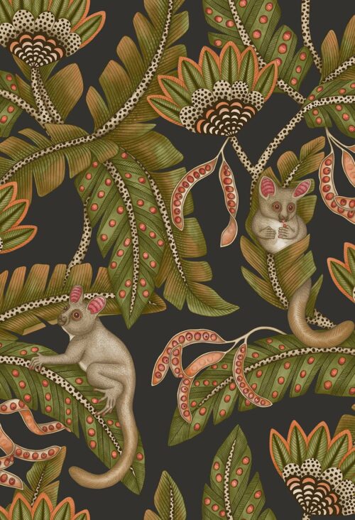 Bush Baby 119/7031