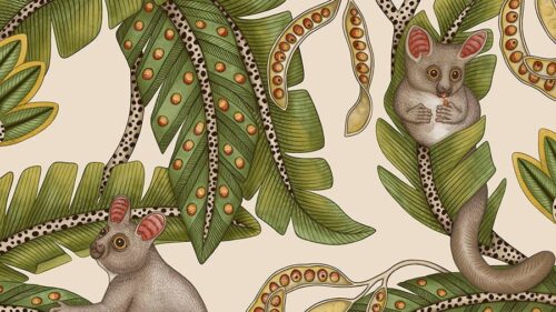 Bush Baby 119/7032