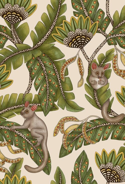 Bush Baby 119/7032