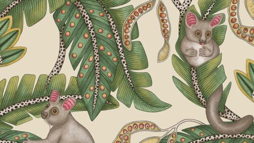 Bush Baby 119/7035
