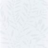 Chaconia Shimmer 111661