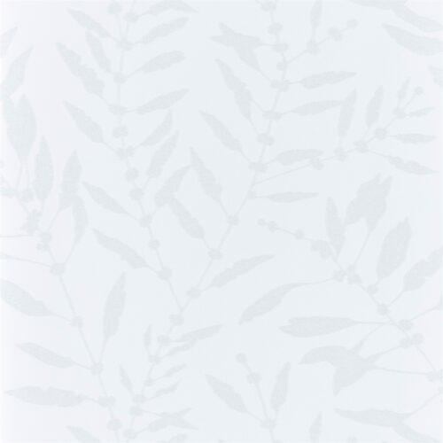 Chaconia Shimmer 111661