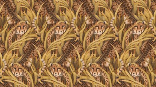 Cheetah Prowl 129/8043