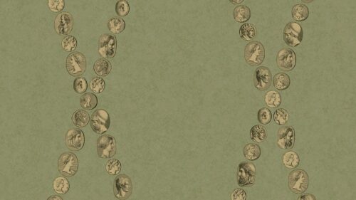 Papel pintado Cole & Son Fornasetti Senza Tempo II