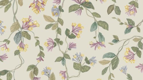 Papel pintado Cole & Son Selection of Hummingbirds