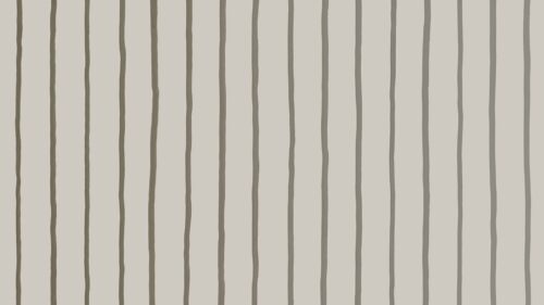 College Stripe 110/7035